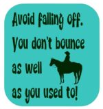 Horsey Magnet--Avoid Falling Off