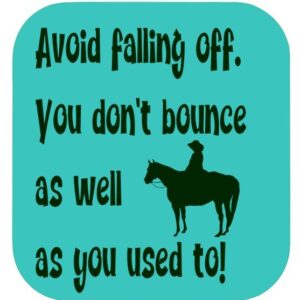 Horsey Magnet--Avoid Falling Off