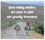 Horsey Sticker--Good Riding Buddies