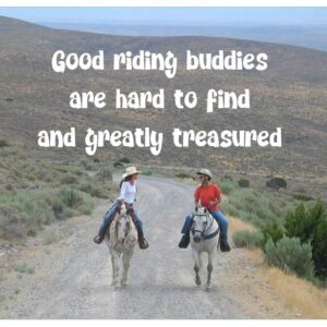 Horsey Sticker--Good Riding Buddies