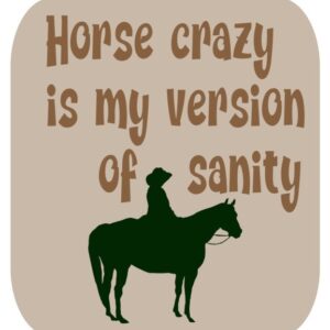 Horsey Magnet--Horse Crazy