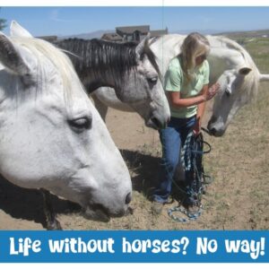 Horsey Magnet--LIfe Without Horses